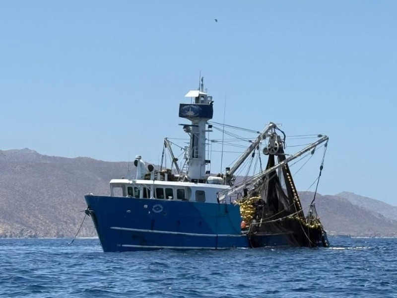Camaroneros equipados con helicóptero depredan ecosistema marino