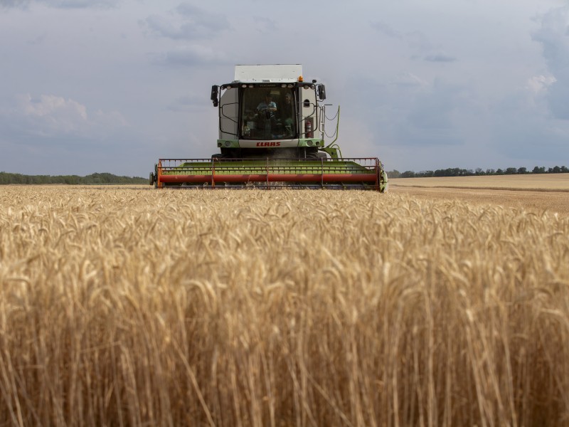 Cambio climático aumentará la inseguridad alimentaria