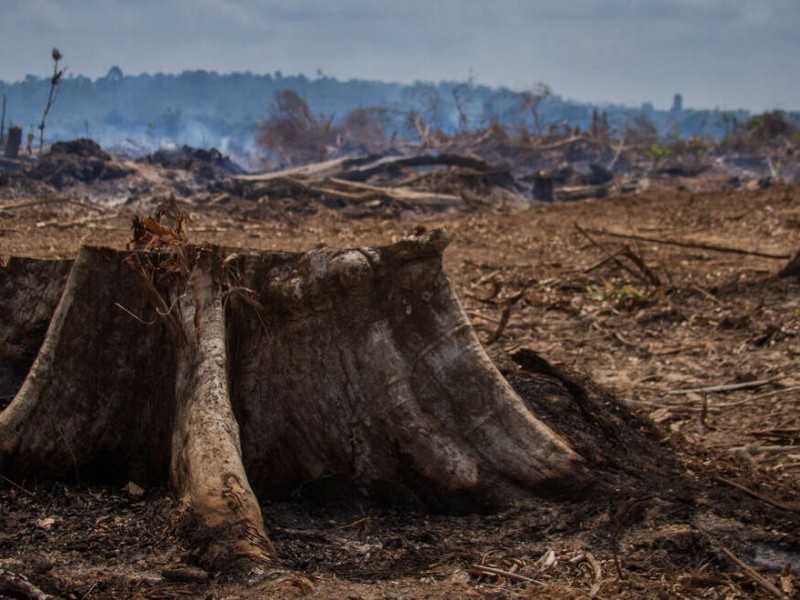 Cambio climático, consecuencias catastróficas