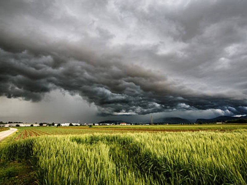 Cambio climático desfasó calendario agrícola