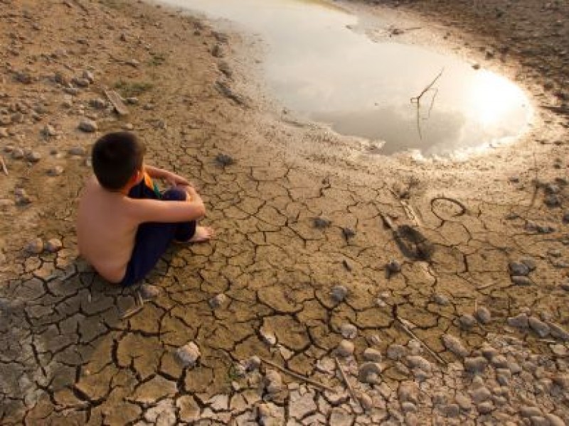 Cambio climático especies animales afectadas en México