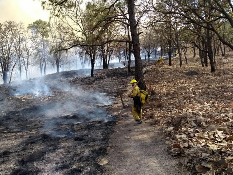 Cambio Climático incrementará riesgo forestal en la Primavera