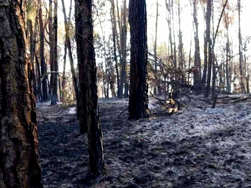 Cambio de uso de suelo acaba con cerros de Tangancícuaro