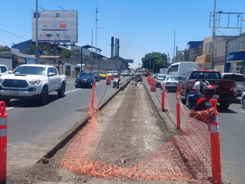 Camellón ecológico de avenida Insurgentes no reune condiciones para arbolado