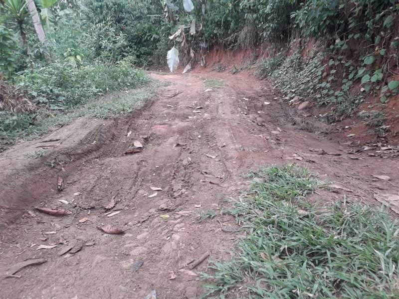 Caminos saca cosecha en pésimas condiciones