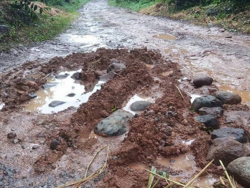 Caminos saca cosechas difíciles para aplicar segunda ronda de fertilizante