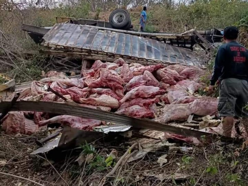 Camión sufre volcadura sobre la carretera Huatulco-Salina Cruz