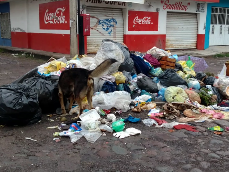 Camiones descompuestos causaron acumulación de basura