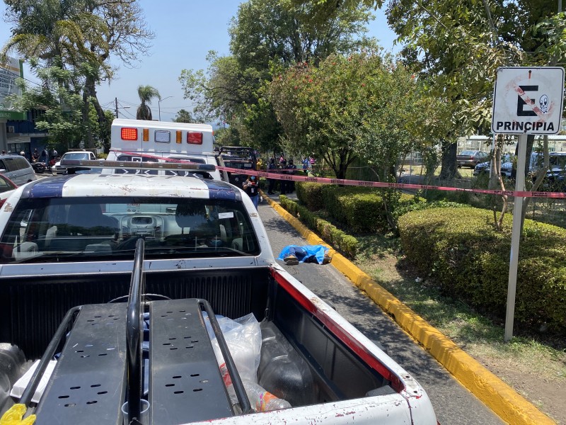 Camioneta arrolla y mata a mujer en Avila Camacho