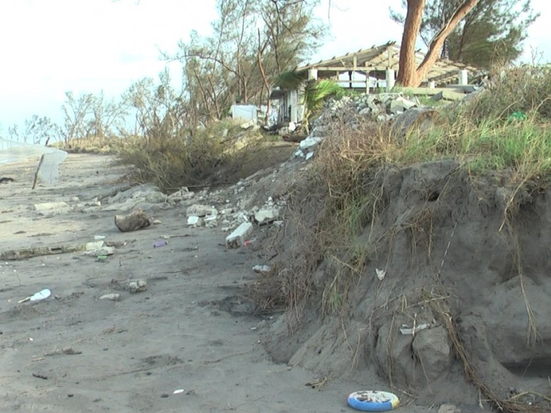 Campamento tortuguero suspende temporalmente actividades tras afectaciones de Grace