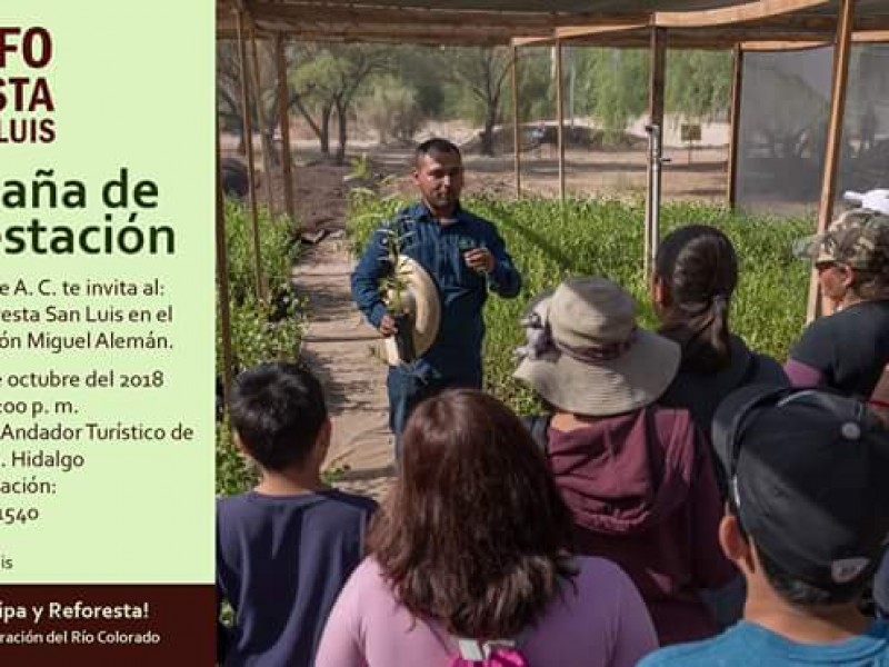 Campaña de reforestación