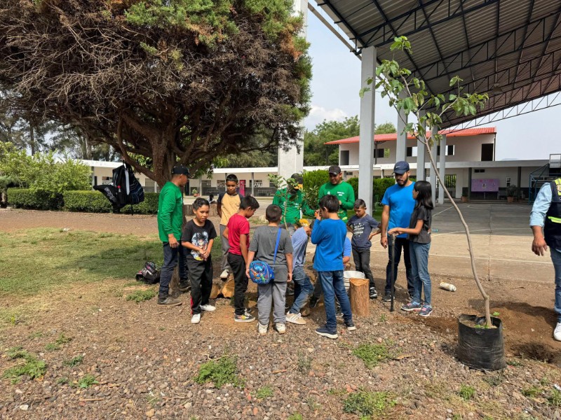 Campaña de reforestación en Tangancícuaro