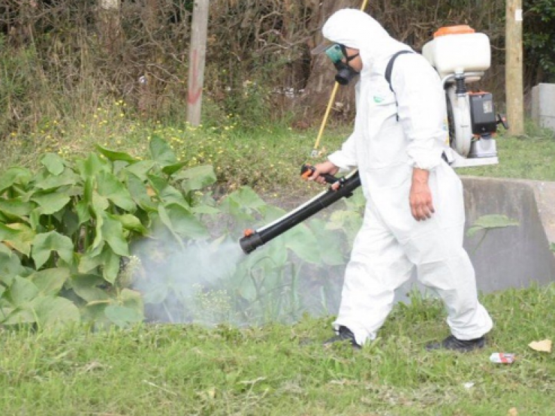 de fumigación afectan abejas | MEGANOTICIAS