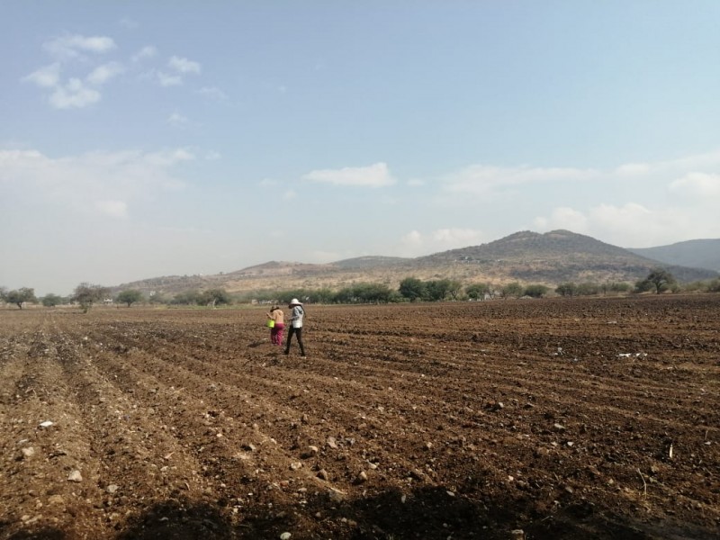 Campesinos a la espera de lluvias para sus cosechas