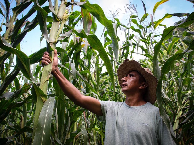 Campesinos advierten acciones drásticas si el gobierno no atiende sus demandas
