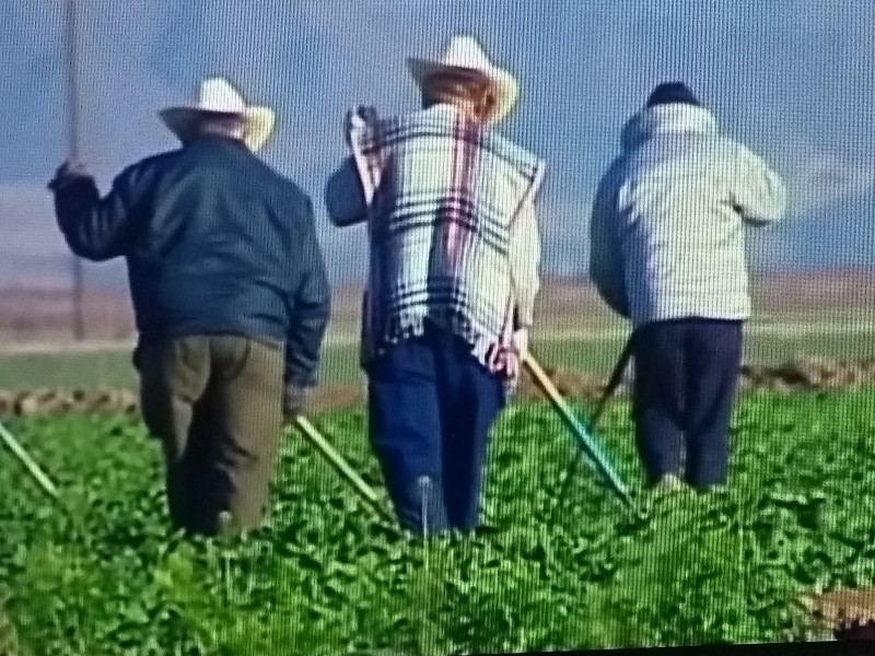 Campesinos son utilizados como botín político