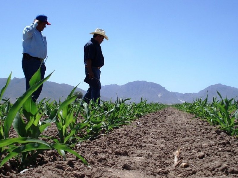 Campesinos buscan ser escuchados por AMLO