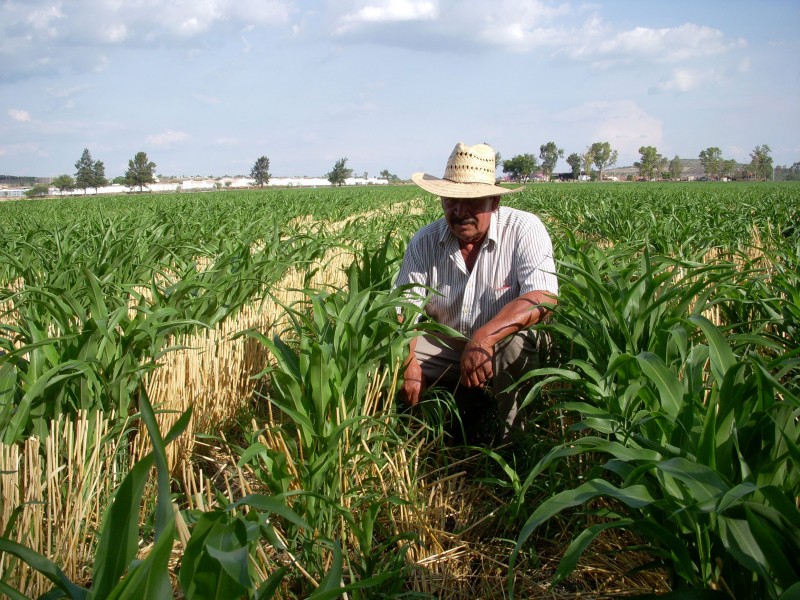 Campesinos acusan falta de programas sociales