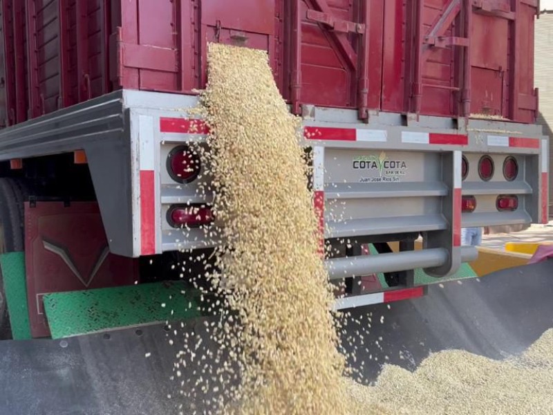 Campesinos exigen frenar competencia desleal de empresas transaccionales de tortilla