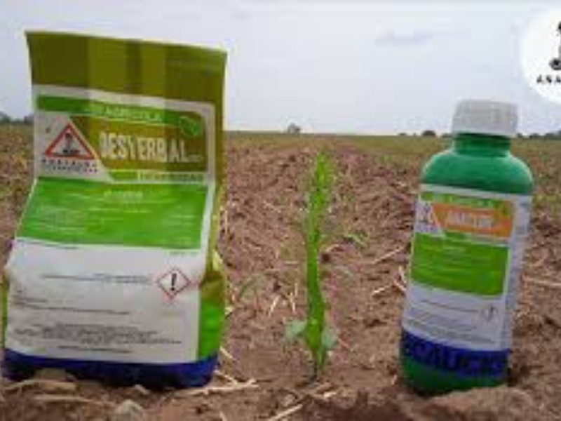 Campesinos nayaritas exigen proteger tierras ejidales y frenar uso de agroquímicos