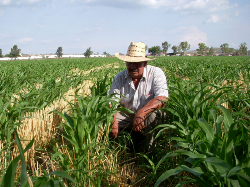 Campesinos, no se han beneficiado con programas gubernamentales