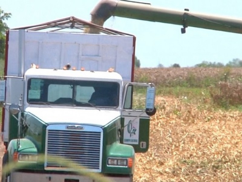 Campesinos piden les repongan cobro de bodegueros