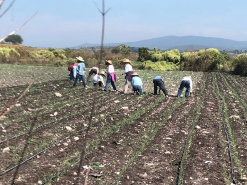 Campo amenazado por deforestación y cambio climático