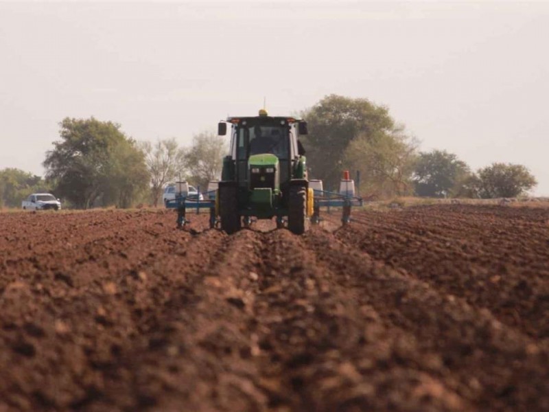 Campo en Sinaloa enfrenta grave sequía