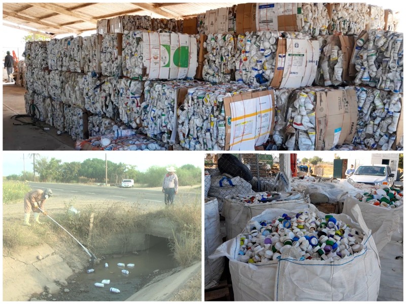 Campo Limpio reduce riesgo ambiental en Guasave