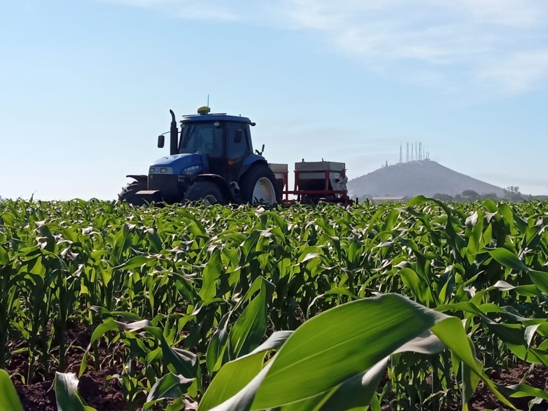 Campo mexicano en agonía