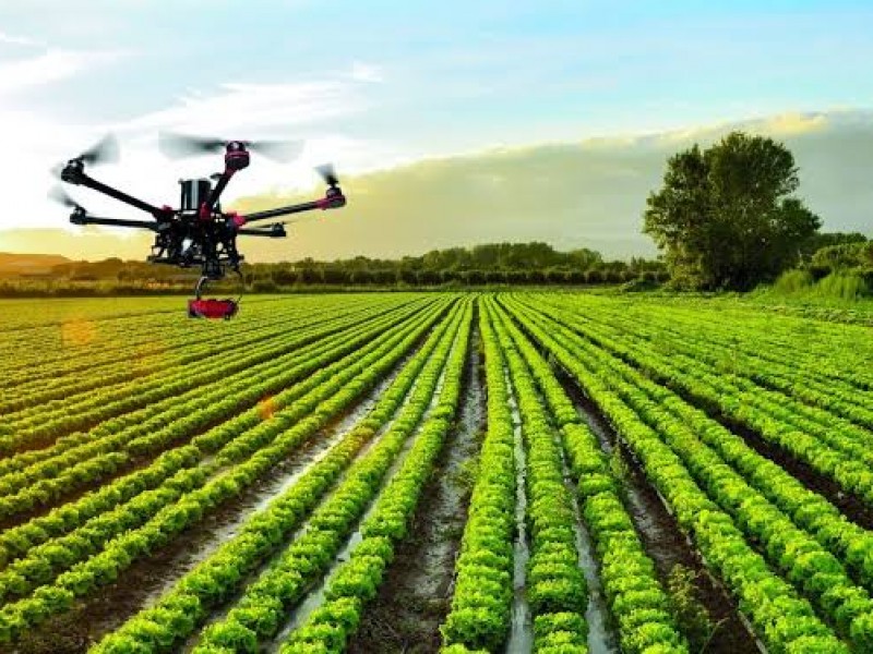 Campo mexicano rezagado en uso de tecnologías