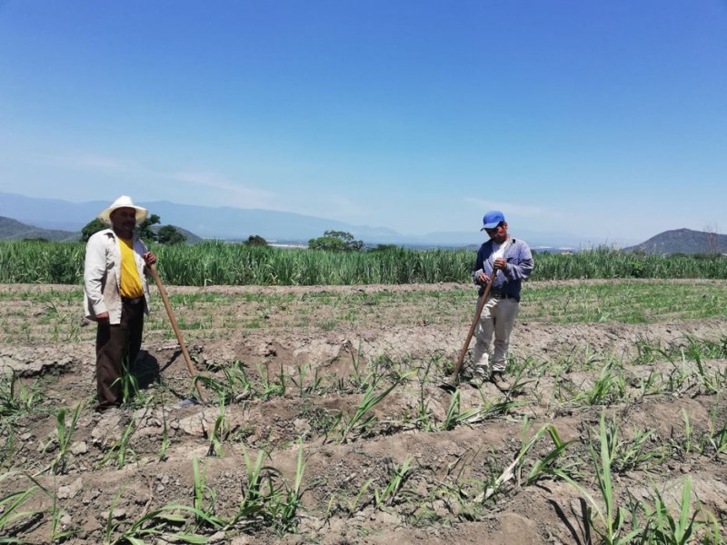 Campo y ejidatario olvidados por el gobierno; CNC