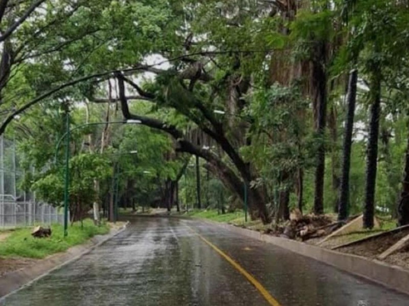 Caña Hueca no abre puertas, hasta nuevo aviso