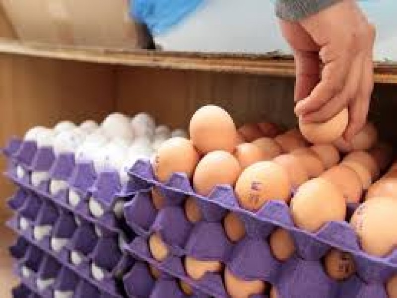 CANACO realiza recorridos para monitorear precio del huevo