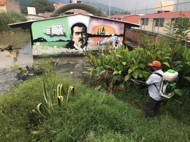 Canal de riego incentiva proliferación del mosco transmisor del dengue