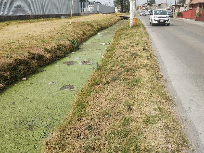 Canal en San Pedro Totoltepec; lleno de basura