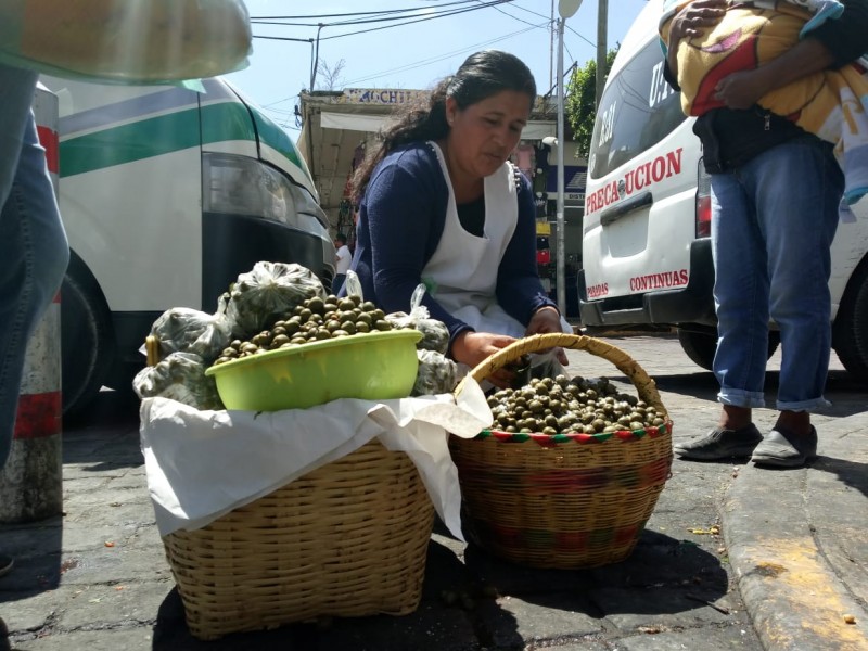 Canasteras  buscarán diálogo con autoridades respecto a su reubiccación