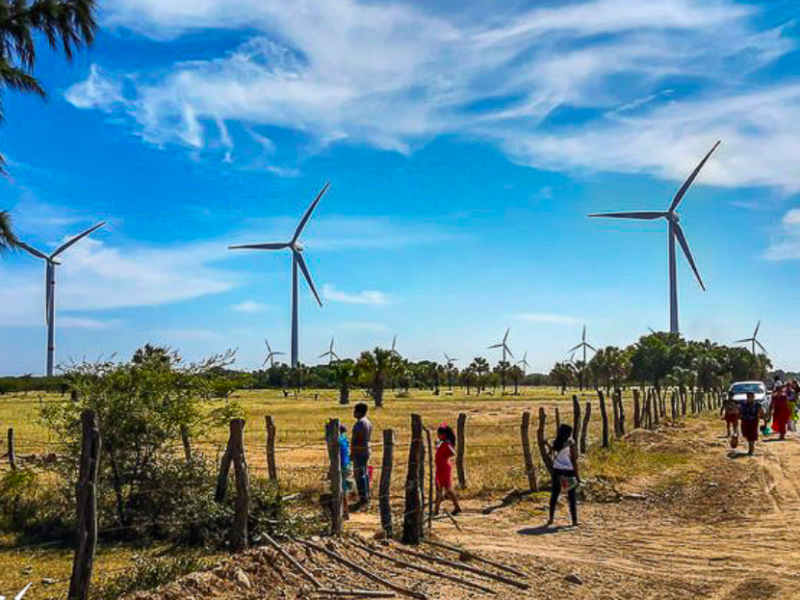 Cancelan proyecto eólico de EDF en Unión Hidalgo