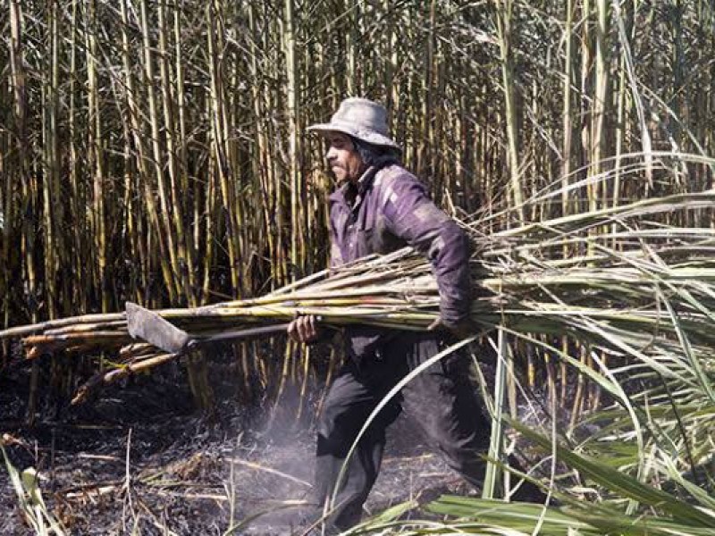 Cañeros buscarán acercamiento con el nuevo gobierno