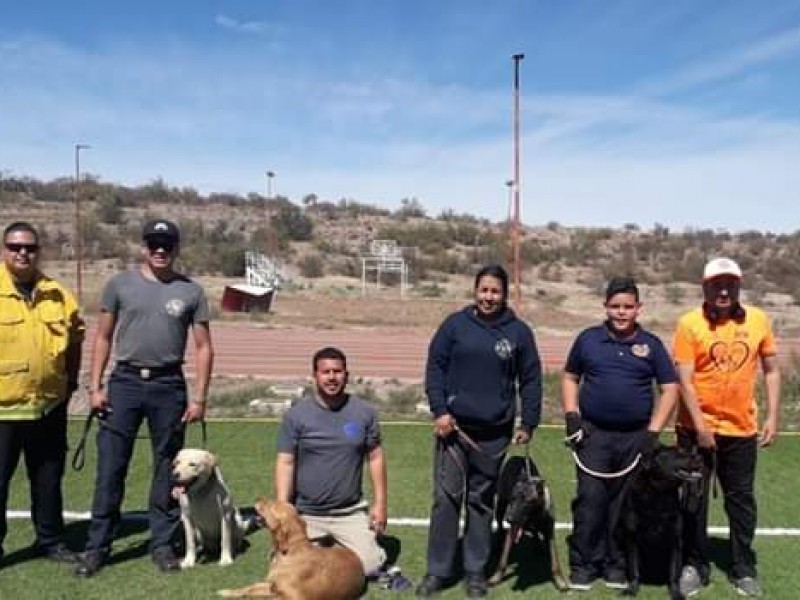 Canes que marcan diferencia por apoyo en corporaciones