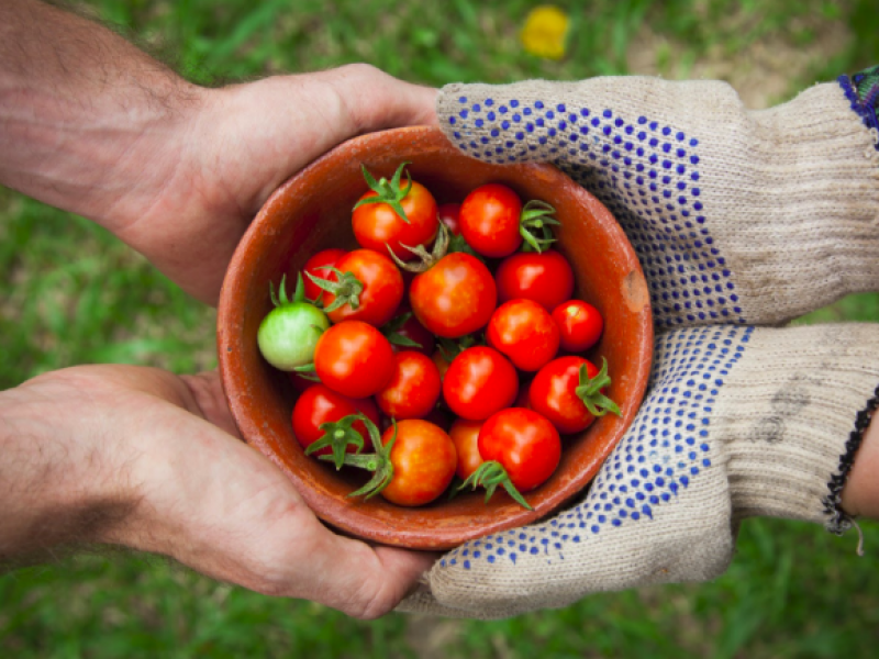 Canirac conviene con productores para hacer frente a inflación