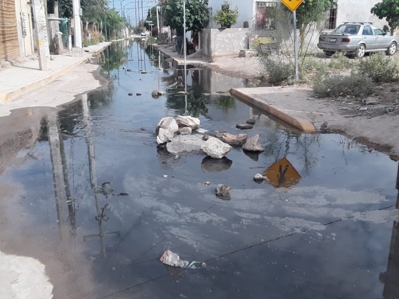 Cansados de vivir en medio de la “cochinada”; afectados