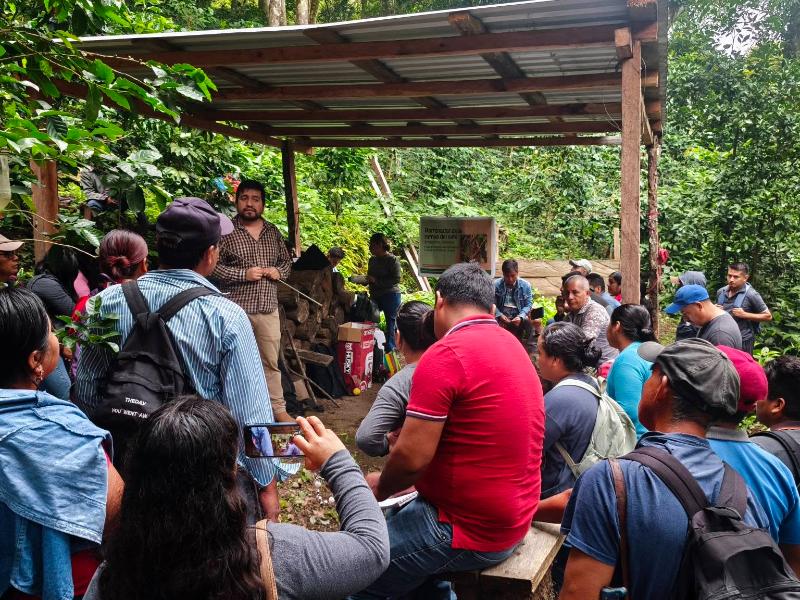 Capacitan a cafetaleros de Guevea de Humboldt para detectar plaga barrenadora