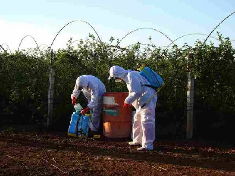 Capacitan a productores agrícolas para correcto uso de fertilizantes