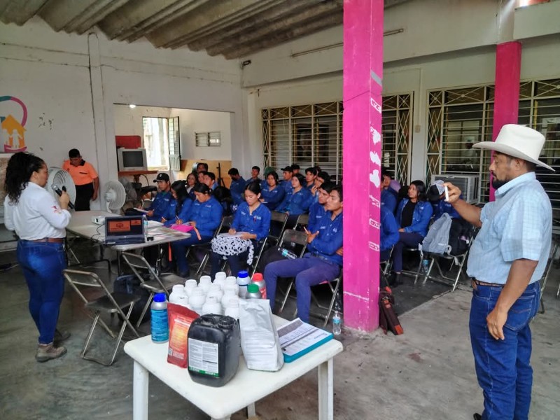 Capacitan a productores para proteger cultivo de maíz, Matías Romero