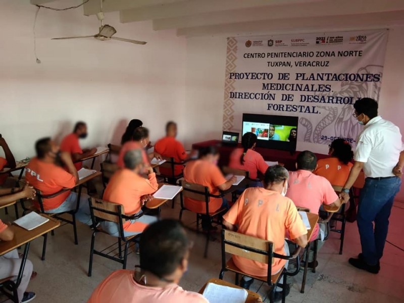 Capacitan a reclusos de Tuxpan en plantaciones medicinales