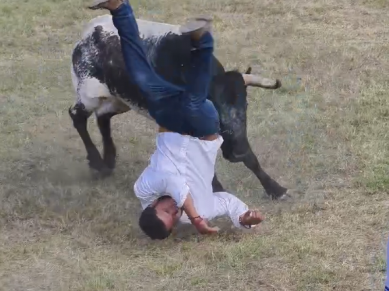 Capea de toros en Xico deja 5 lesionados