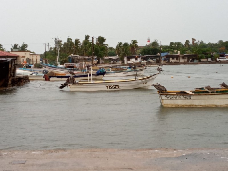 Capitanía abre el Puerto de Yavaros