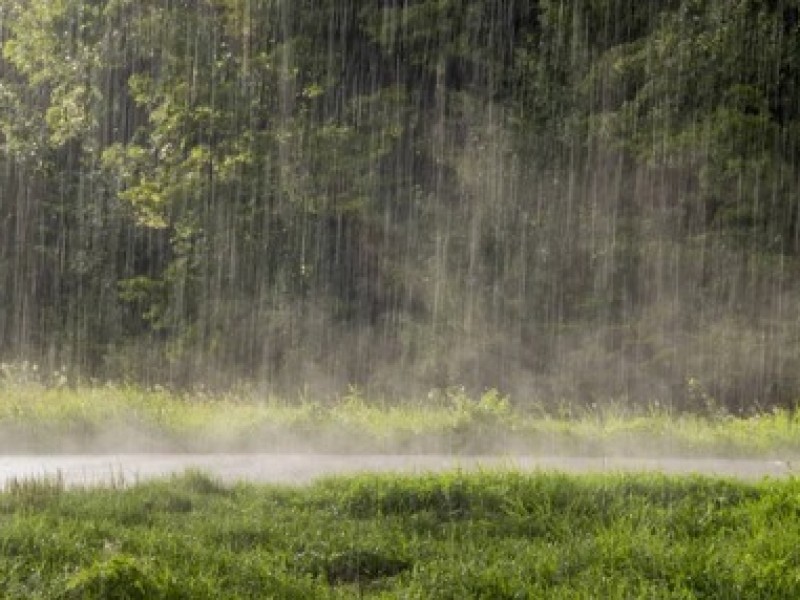 Captación de agua pluvial; alternativa ante escasez de agua