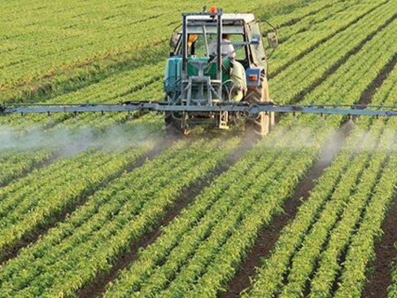 Captación en presas por lluvias permitirán siembra total en valles